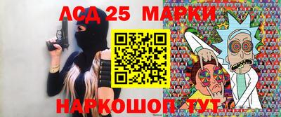 шишки Вязники