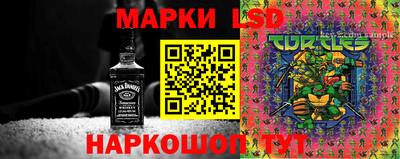 шишки Вязники
